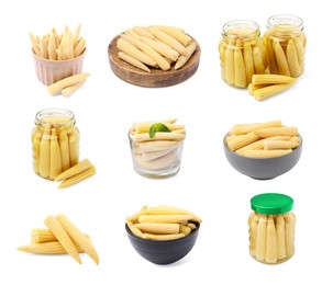 Image of Set with tasty pickled baby corn on white background