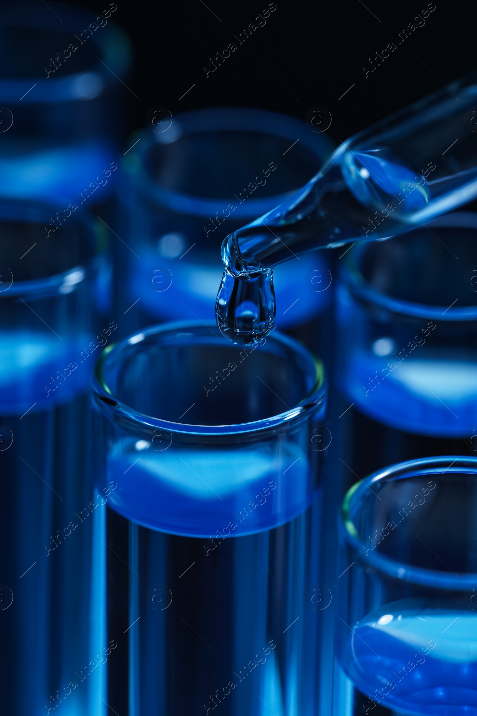 Photo of Dripping reagent into test tube with blue liquid on dark background, closeup. Laboratory analysis