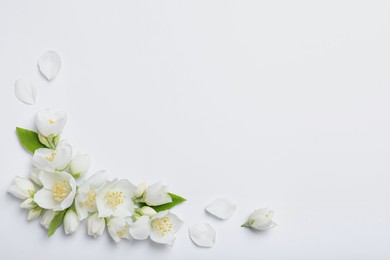 Photo of Beautiful jasmine flowers on white background, flat lay. Space for text
