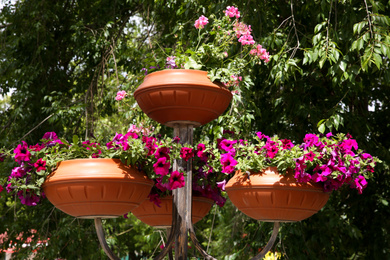 Photo of Beautiful colorful flowers in plant pots outdoors on sunny day
