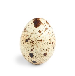 Photo of One beautiful quail egg isolated on white
