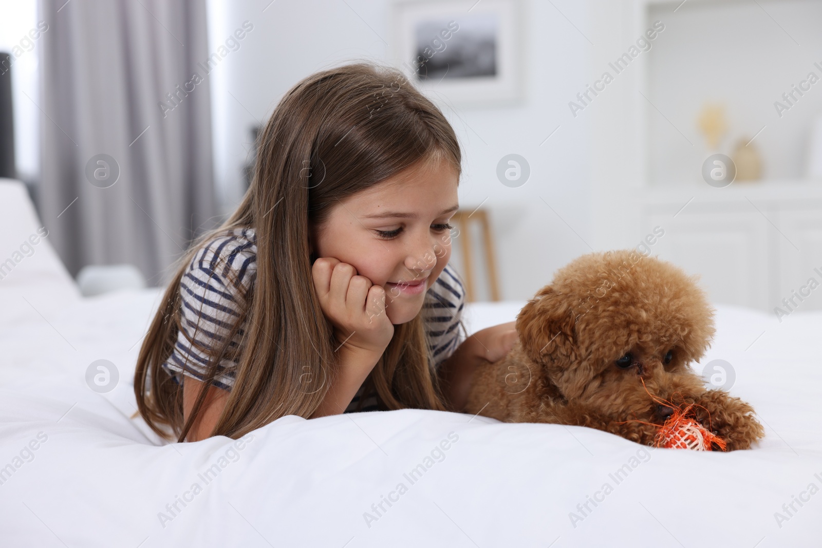 Photo of Little child and cute puppy on bed at home. Lovely pet