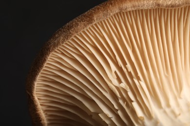 Photo of Macro photo of oyster mushroom on black background