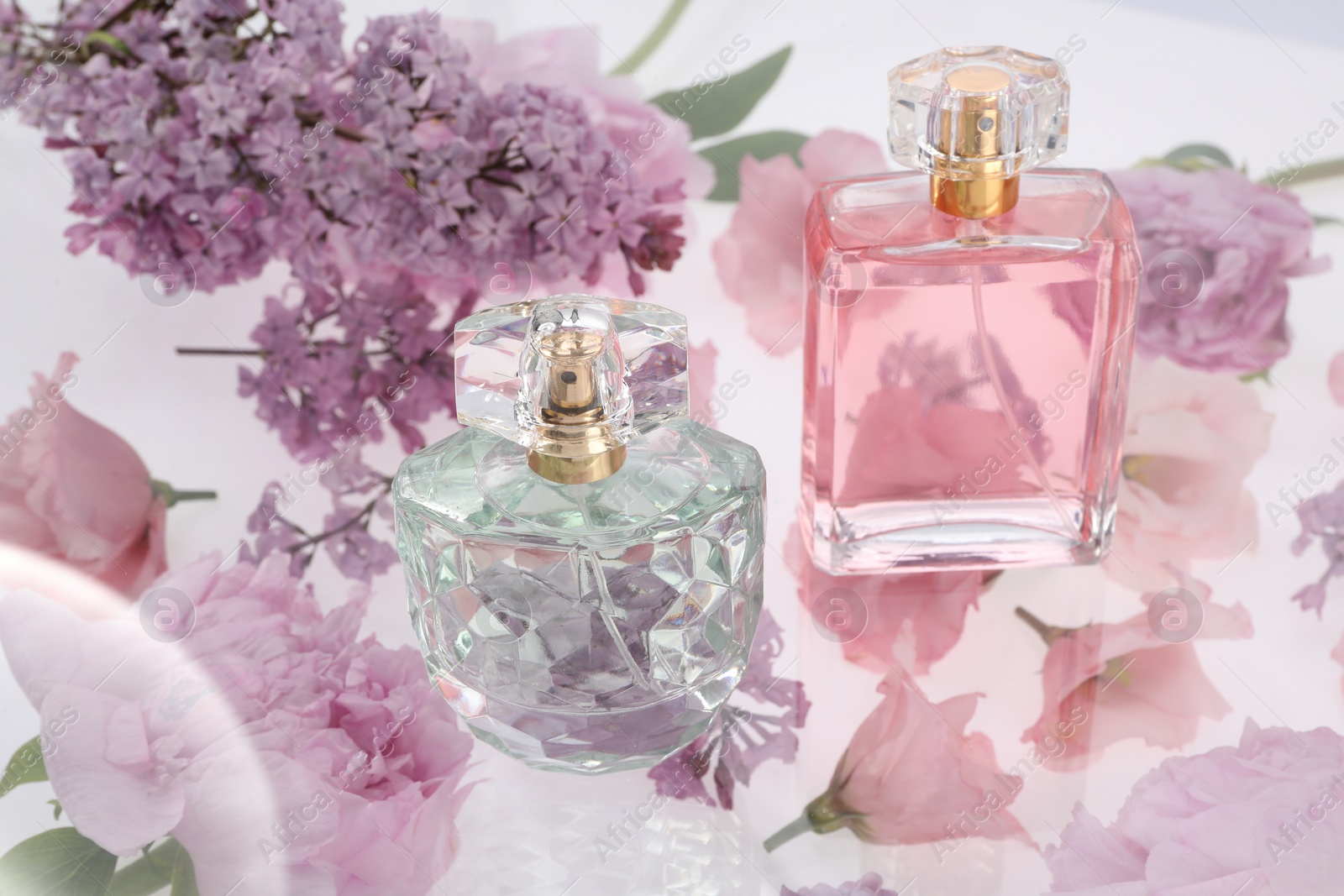 Photo of Two luxury perfumes on spring floral decor
