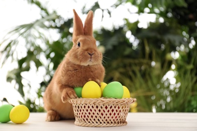 Photo of Cute bunny and basket with Easter eggs on table against blurred background. Space for text