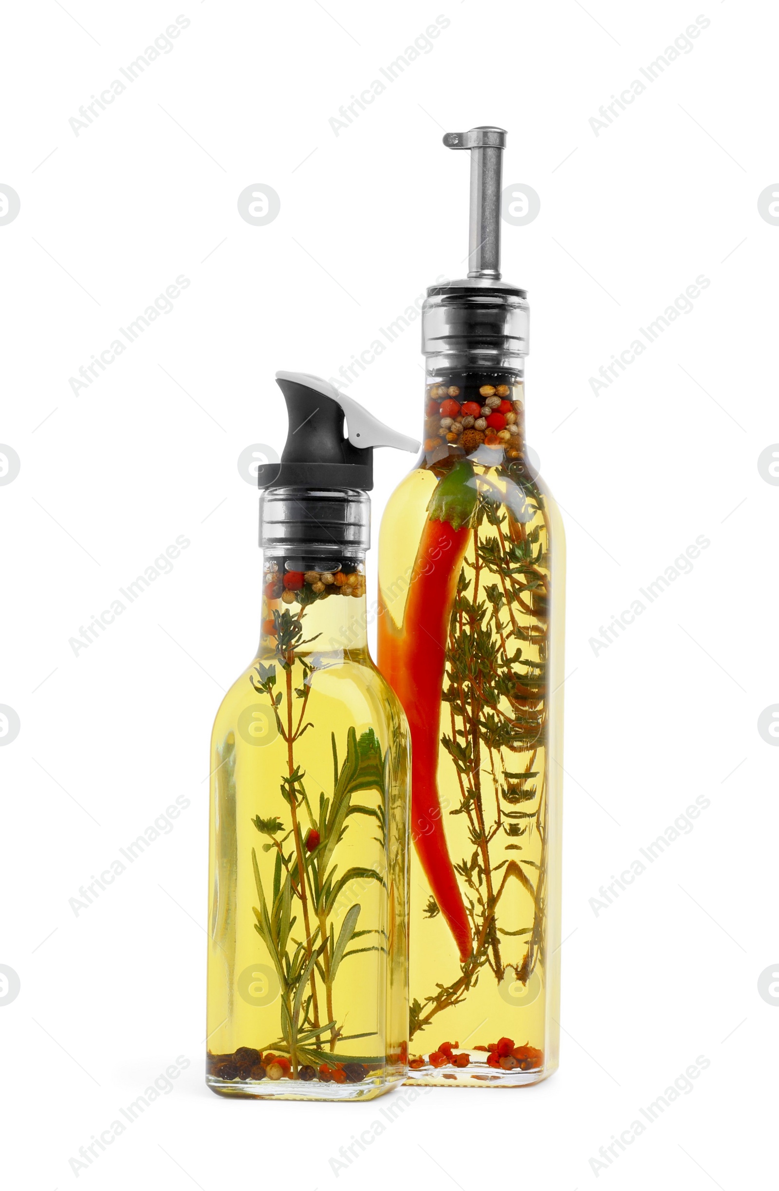 Photo of Glass bottles of cooking oils with spices and herbs on white background