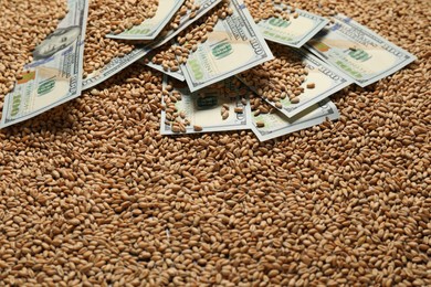 Photo of Dollar banknotes on wheat grains. Agricultural business