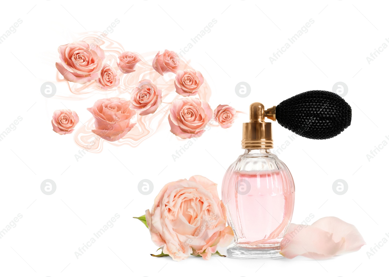 Image of Perfume with floral scent on white background