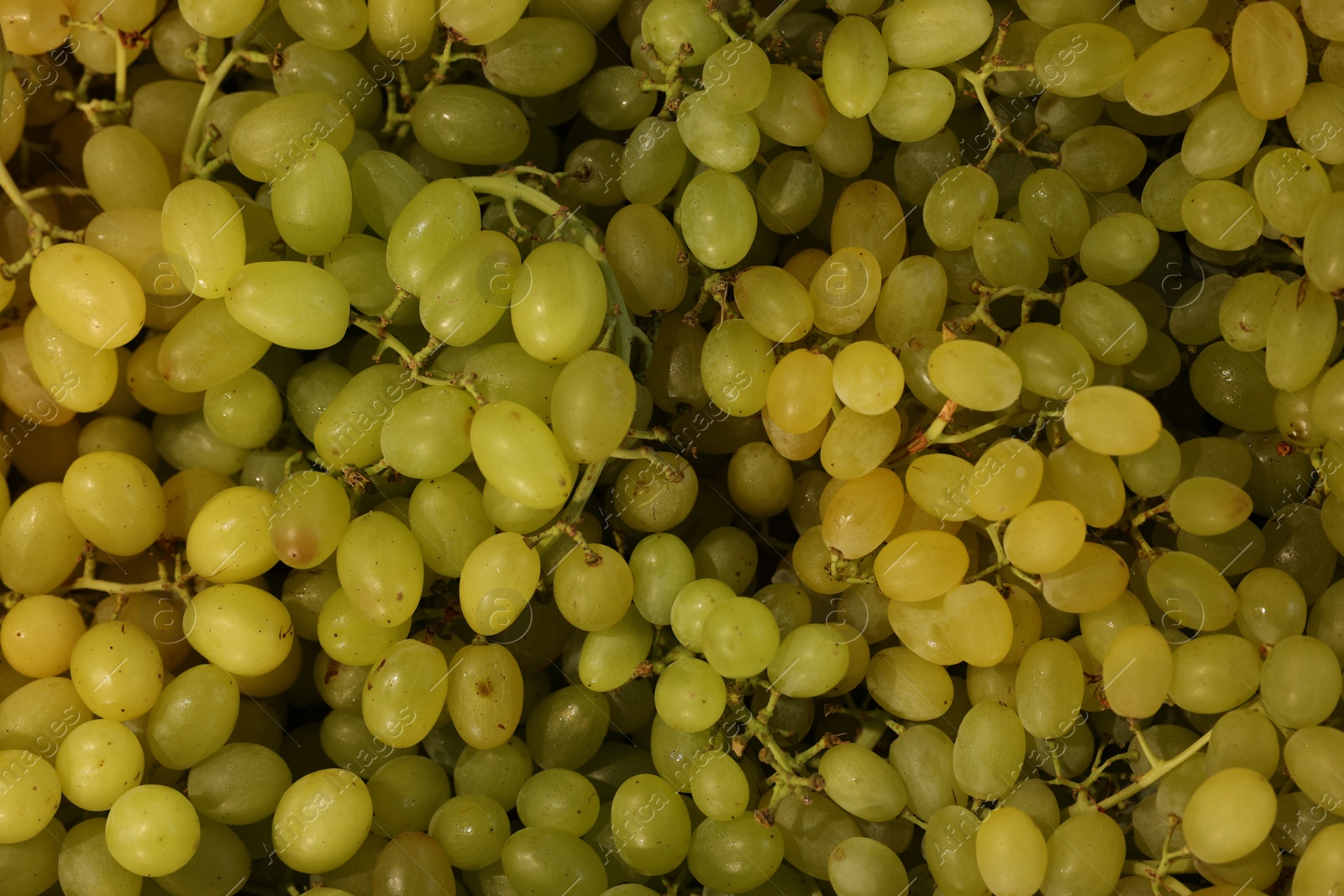 Photo of Many fresh green grapes as background, top view