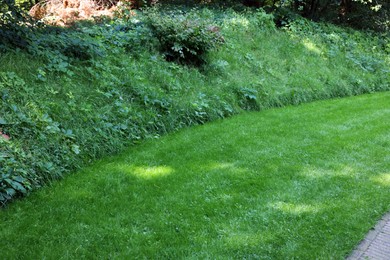 Photo of Beautiful lawn with green grass on sunny day