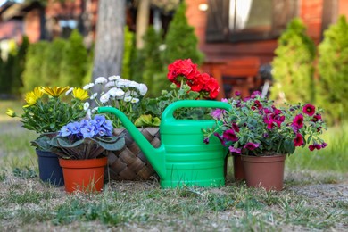 Photo of Beautiful blooming flowers and watering can on green grass in garden