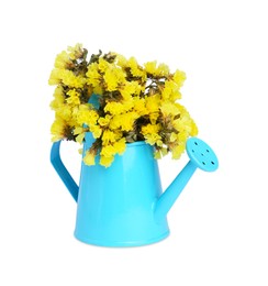 Photo of Beautiful bouquet of wildflowers in watering can isolated on white