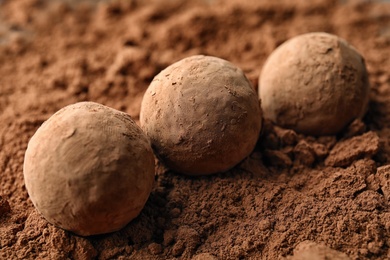 Photo of Tasty chocolate truffles on cocoa powder, closeup