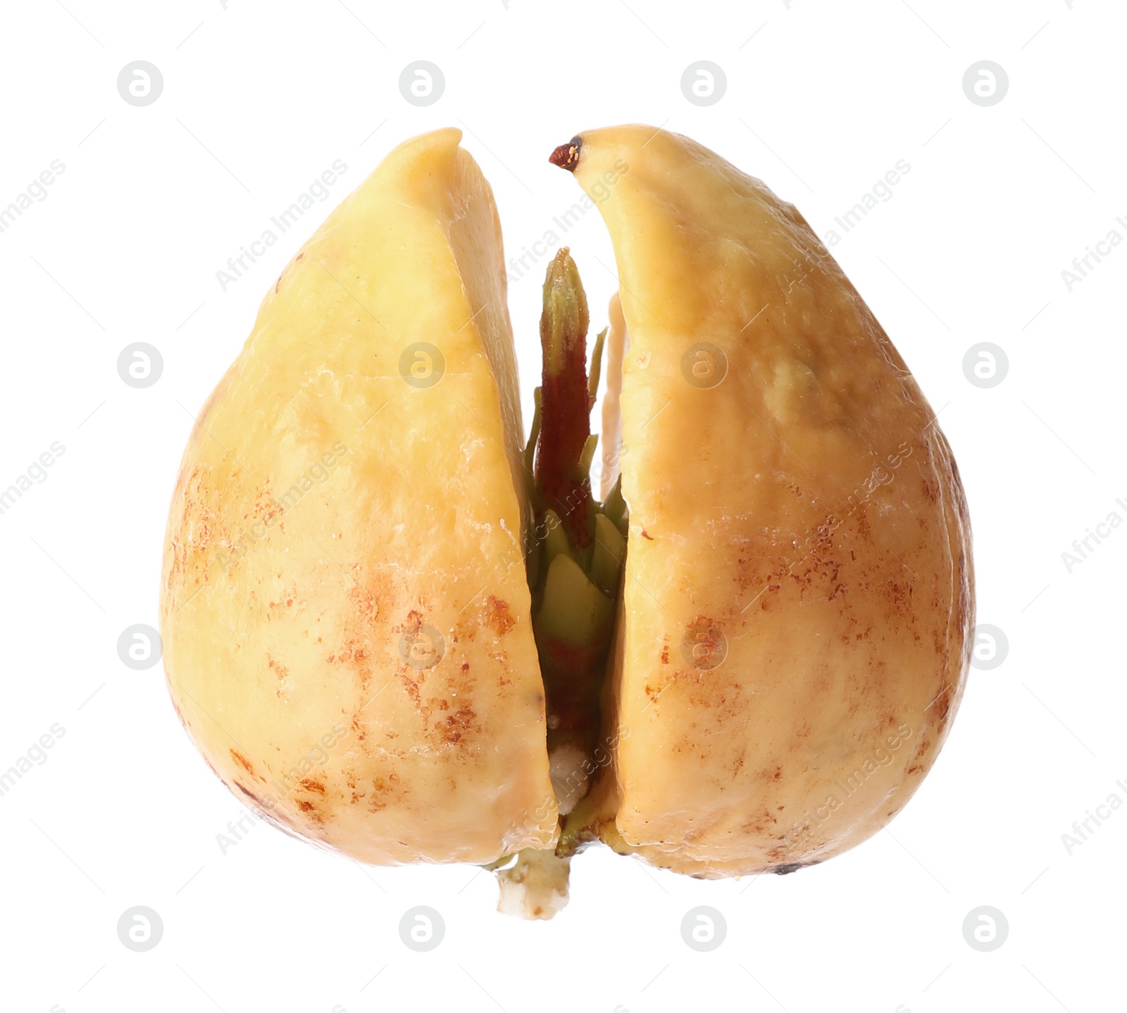 Photo of Avocado pit with sprout on white background