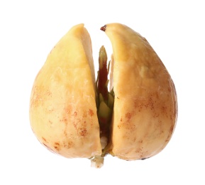 Avocado pit with sprout on white background