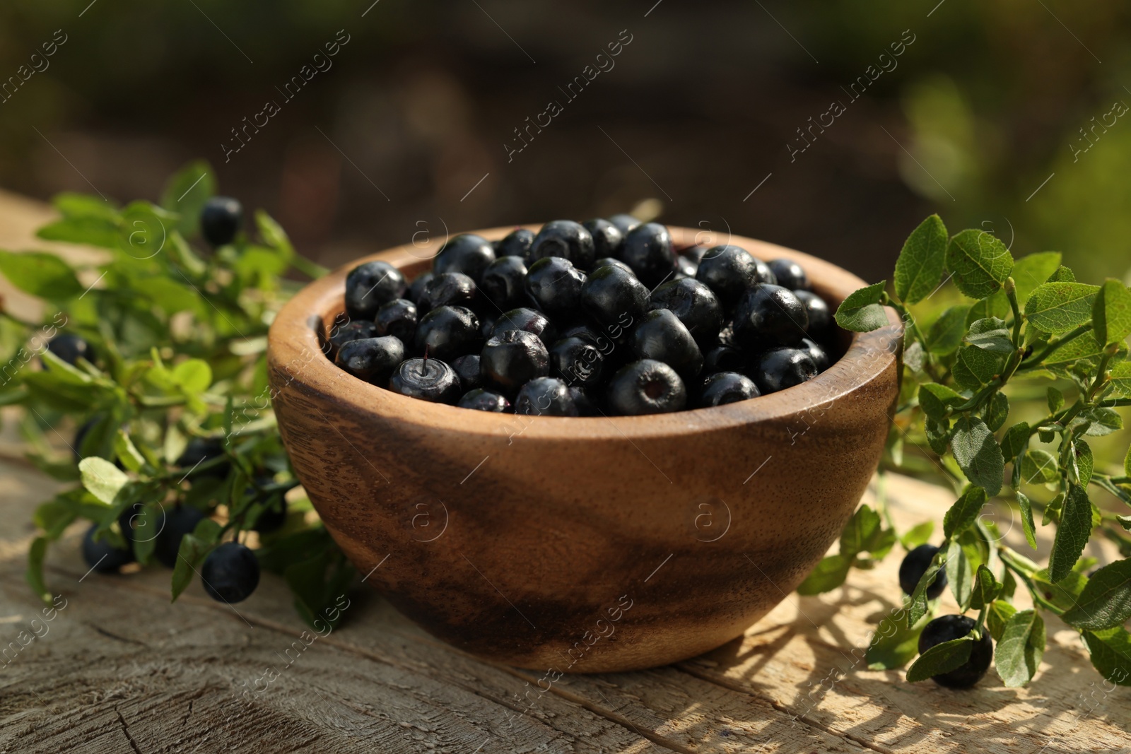 Photo of Bowl of bilberries and green twigs with ripe berries on wooden table outdoors, closeup