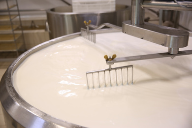 Photo of Milk in curd preparation tank at cheese factory