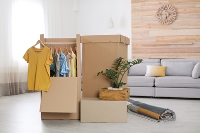 Photo of Cardboard wardrobe boxes with clothes on hangers, houseplant and carpet in living room