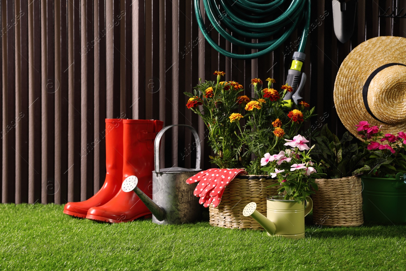 Photo of Beautiful plants, gardening tools and accessories on green grass near wood slat wall