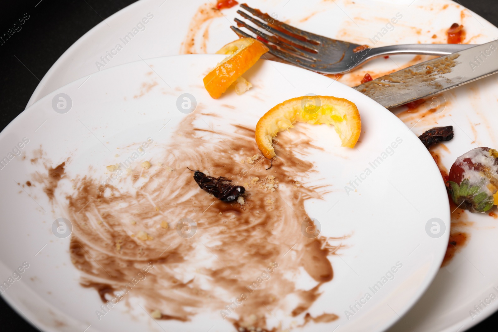 Photo of Dead cockroach on dirty dishware, closeup. Pest control