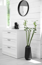 Photo of Vase with Lucky bamboo on floor near chest of drawers in room. Stylish interior