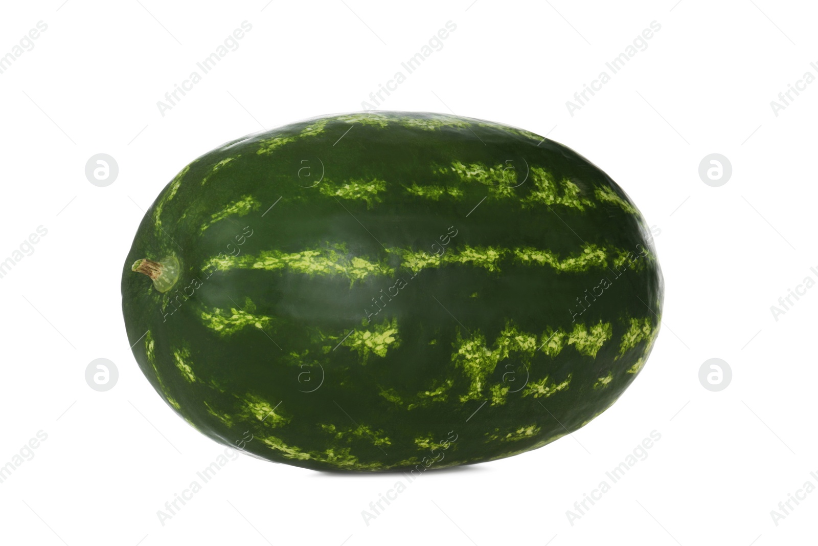 Photo of Delicious ripe long watermelon isolated on white