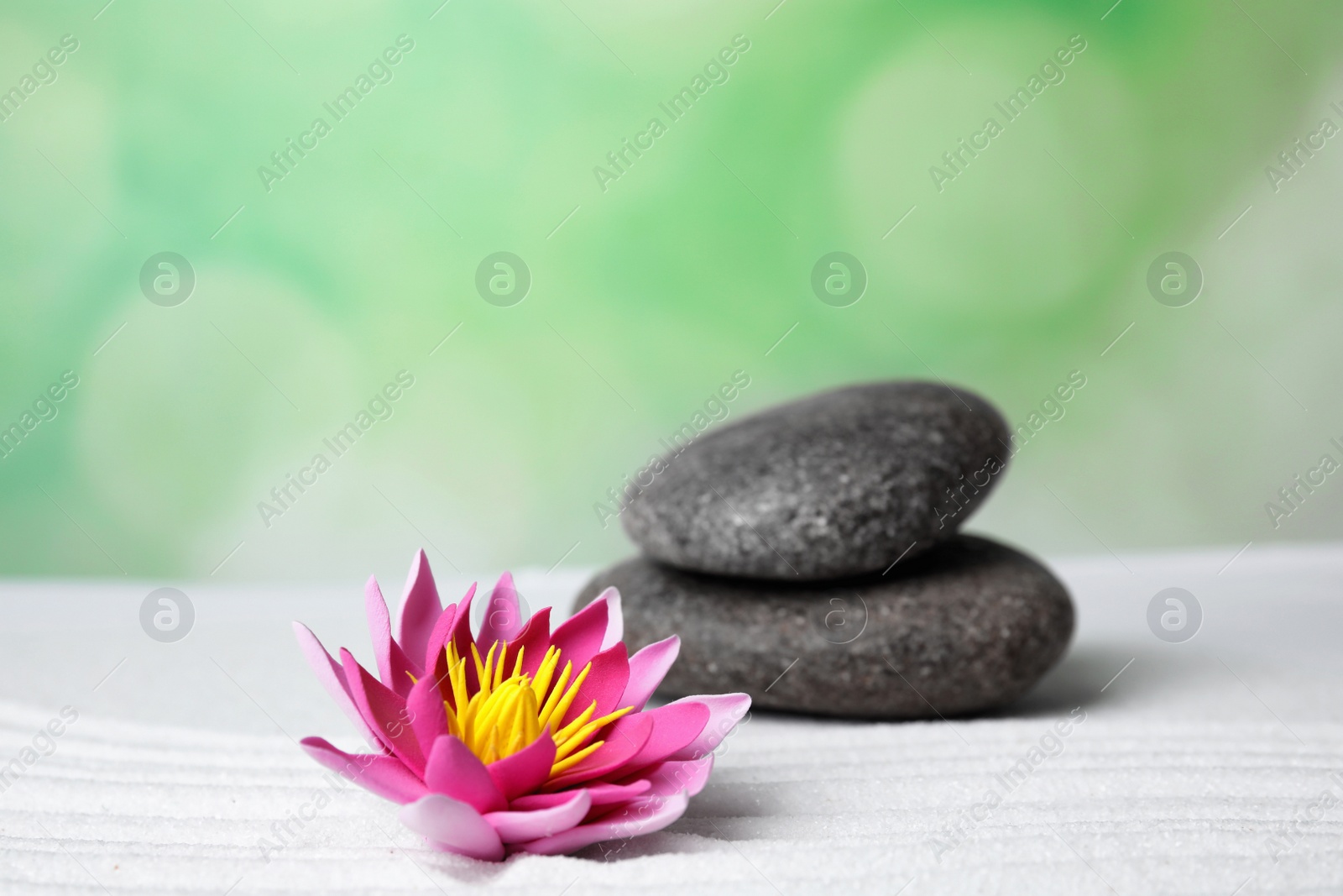 Photo of Zen garden. Beautiful lotus flower and stones on white sand