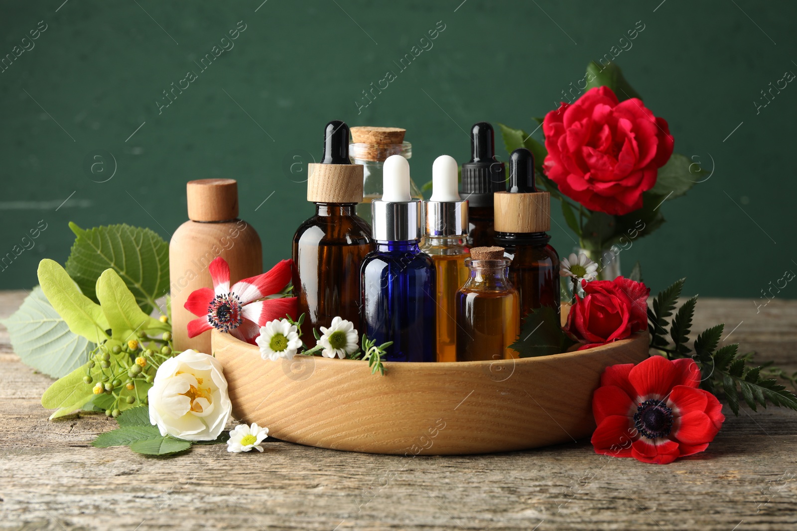 Photo of Aromatherapy. Different essential oils, flowers and green leaves on wooden table