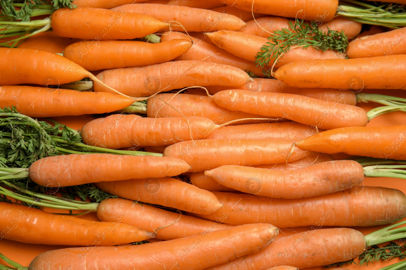 Photo of Ripe carrots as background, top view. Healthy diet