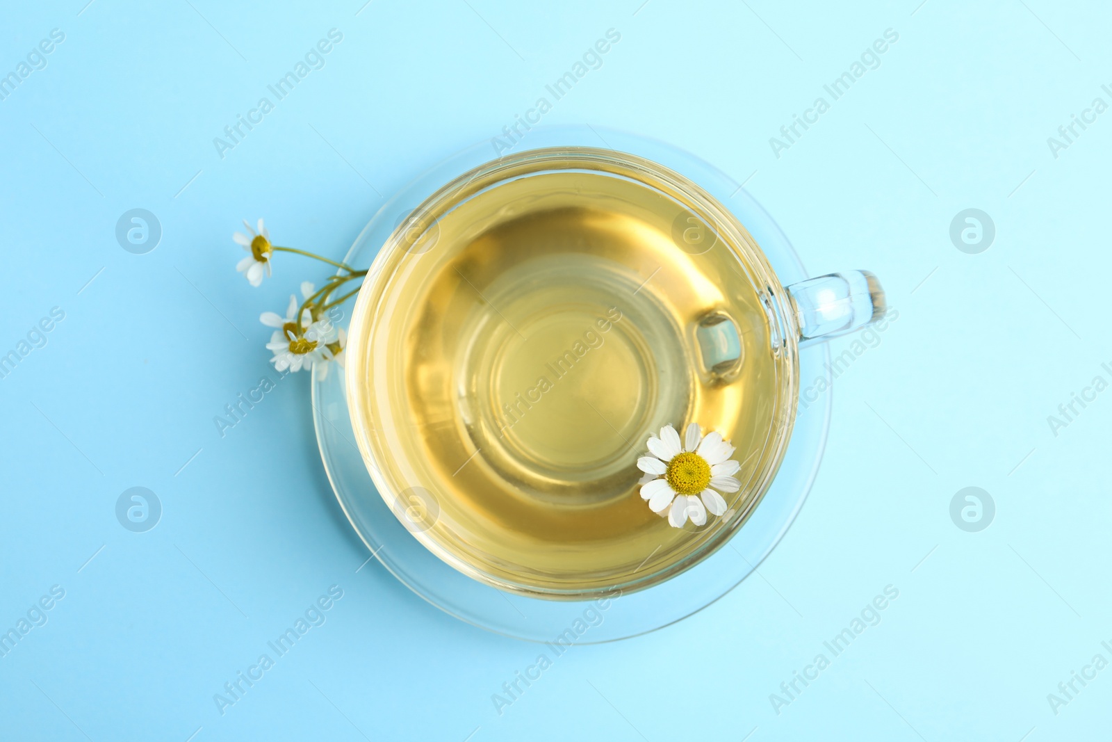 Photo of Delicious chamomile tea in glass cup on light blue background, top view