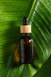Photo of Bottle of cosmetic product on wet green leaf, top view