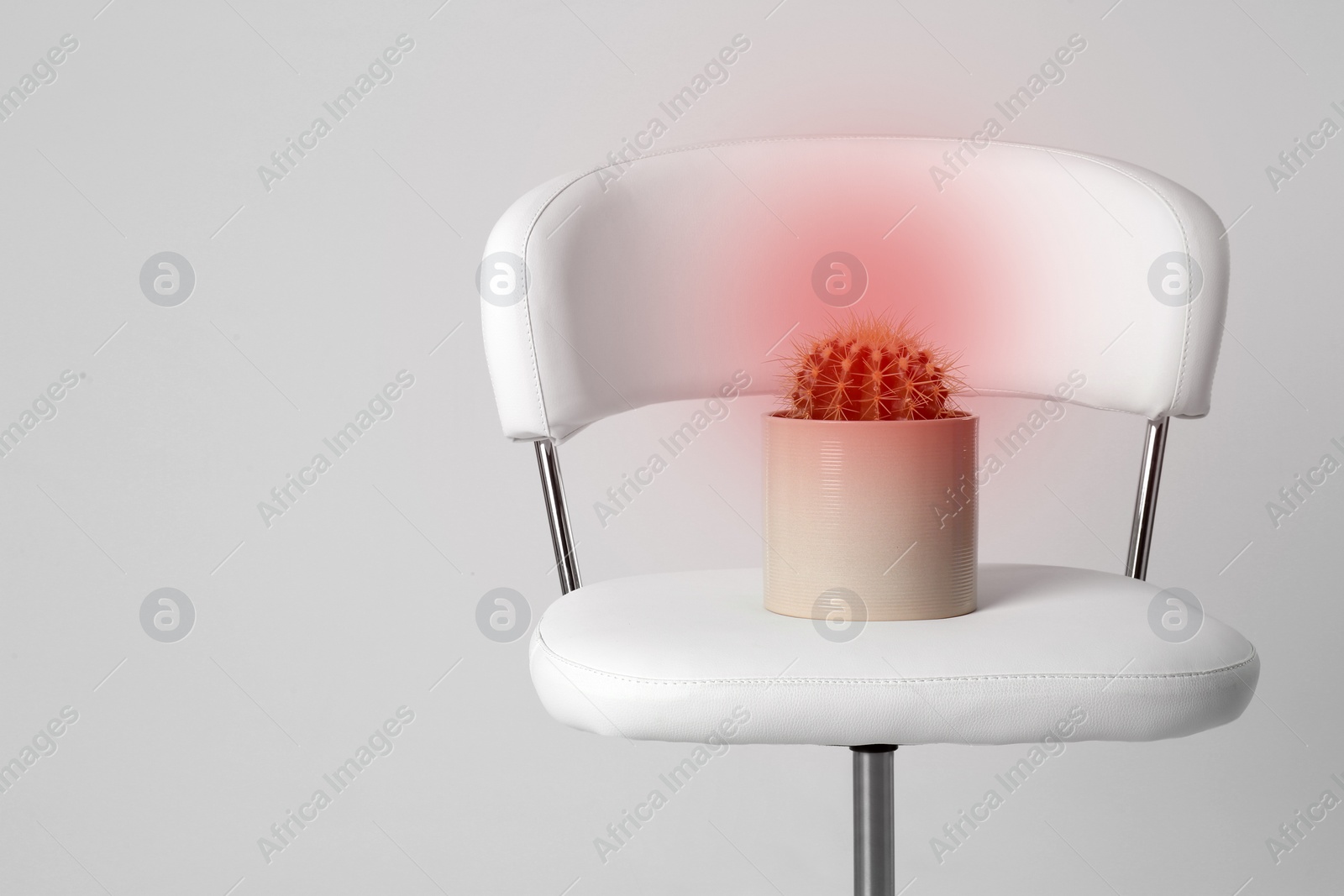 Image of Hemorrhoid concept. Chair with cactus isolated on white