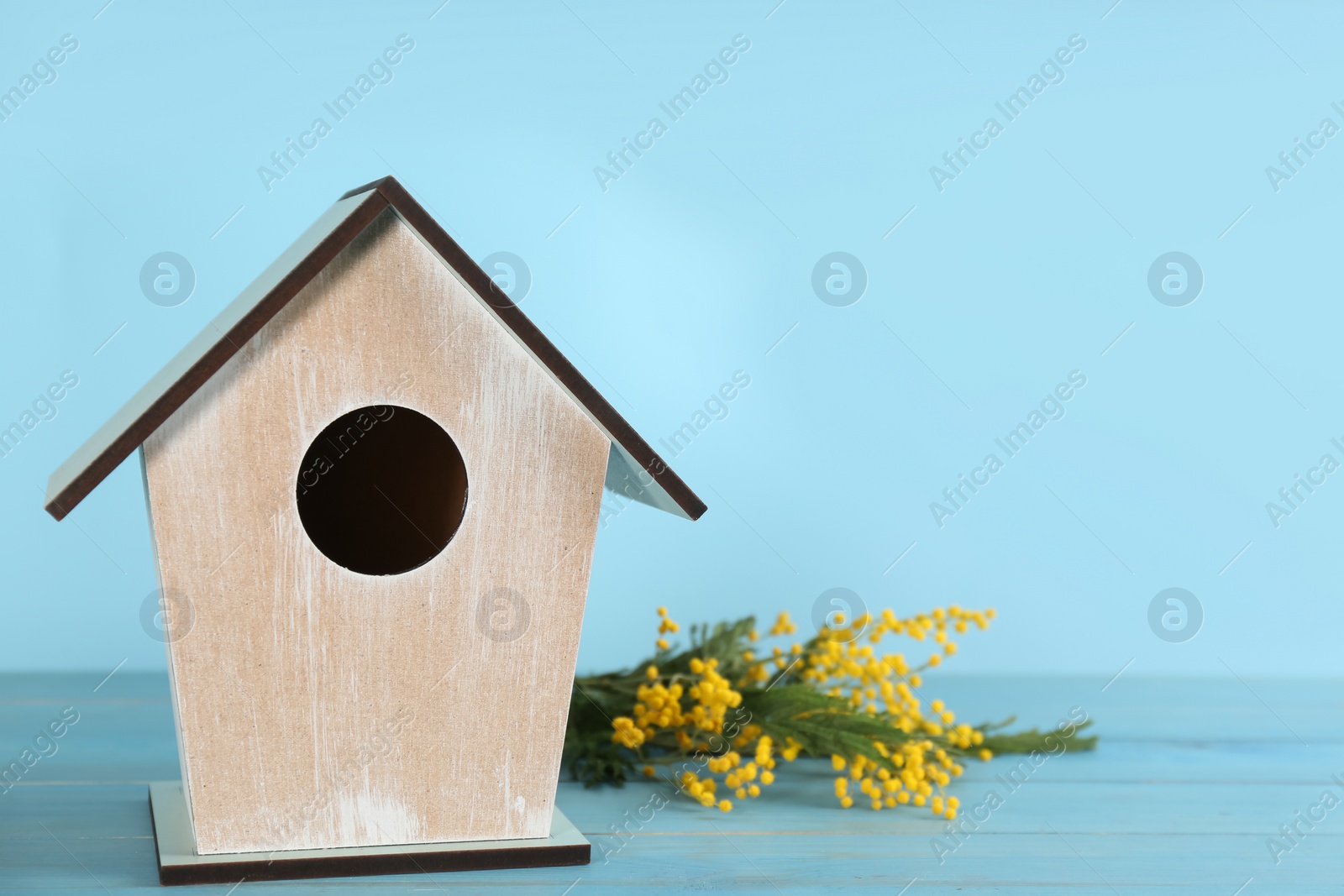 Photo of Beautiful bird house and mimosa flowers on wooden table against light blue background, space for text