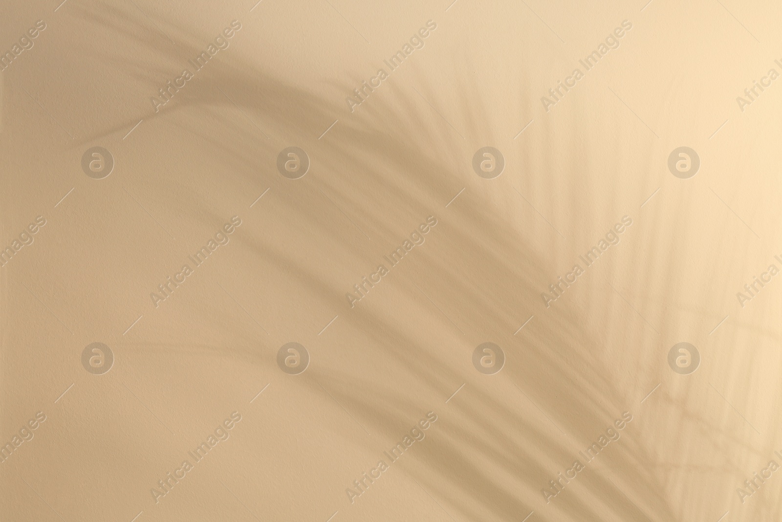 Photo of Shadow of tropical palm leaves on beige background