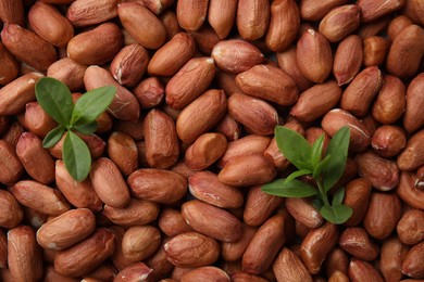 Photo of Many fresh unpeeled peanuts and leaves as background, top view