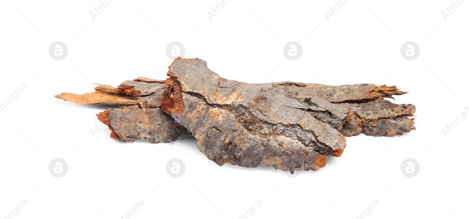 Photo of Pieces of tree bark isolated on white