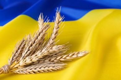 Photo of Ears of wheat on national Ukrainian flag, space for text. Cereal plant