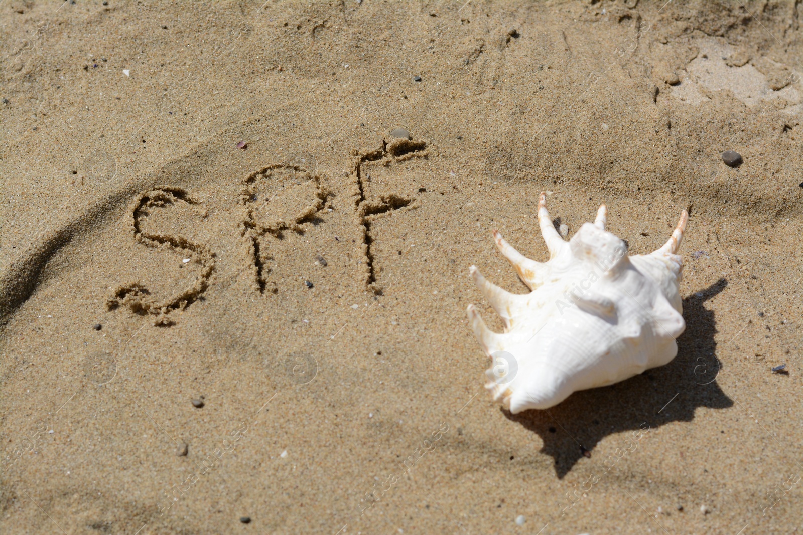 Photo of Abbreviation SPF written on sand and seashell at beach