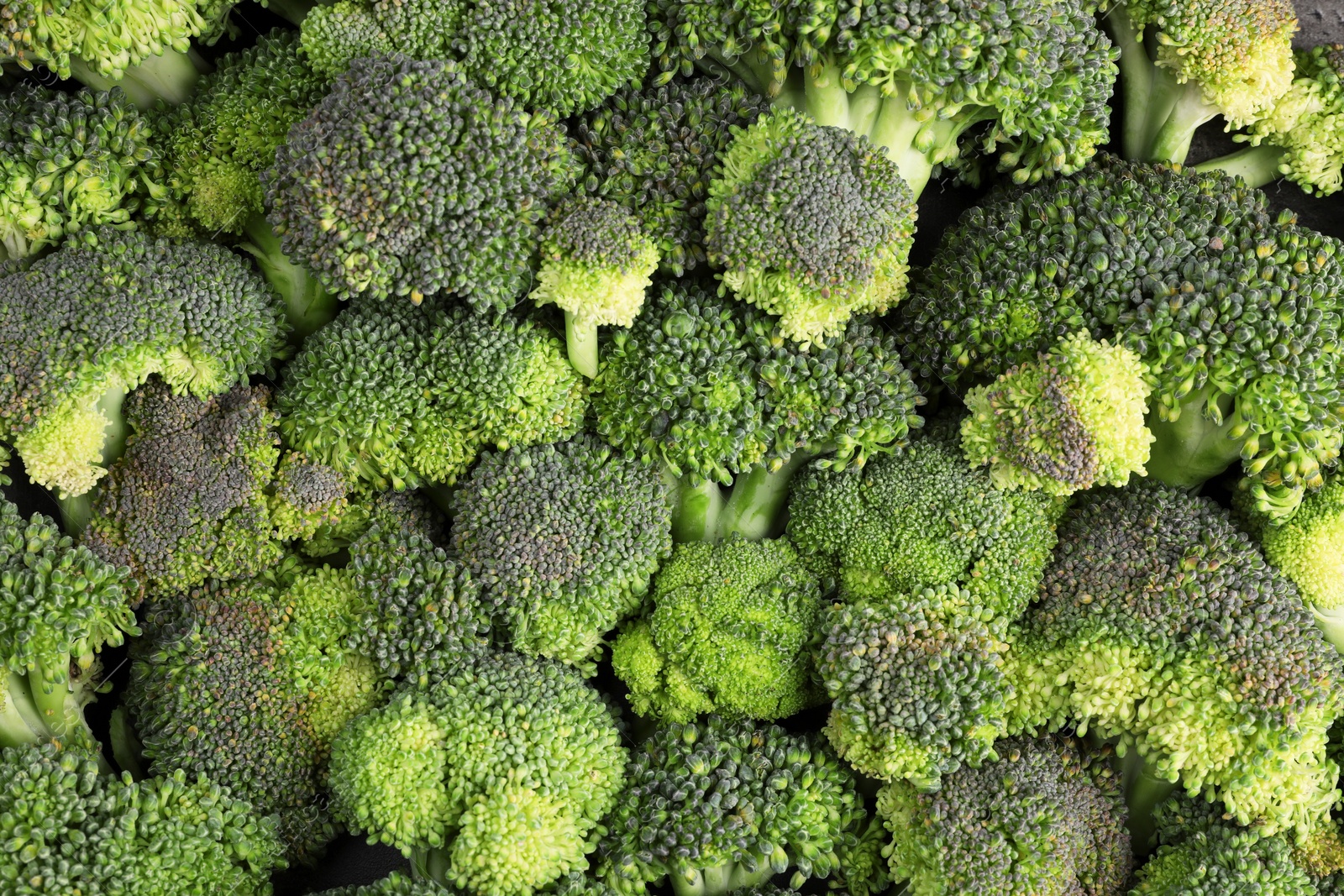 Photo of Fresh raw broccoli as background, top view