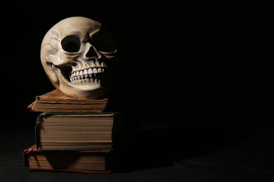 Photo of Human skull with books on black background, space for text