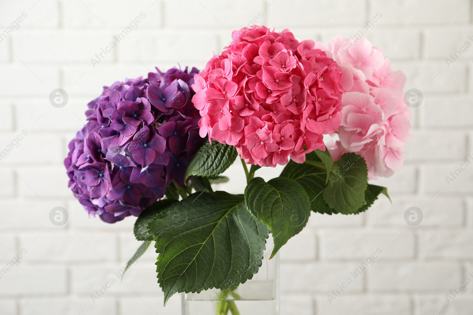 Photo of Bouquet with beautiful hortensia flowers near white brick wall