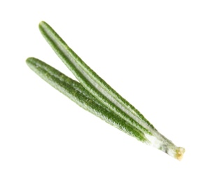 Photo of Fresh green rosemary leaves on white background