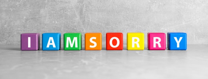 Image of Apology. Phrase I Am Sorry made of colorful cubes on grey background, banner design