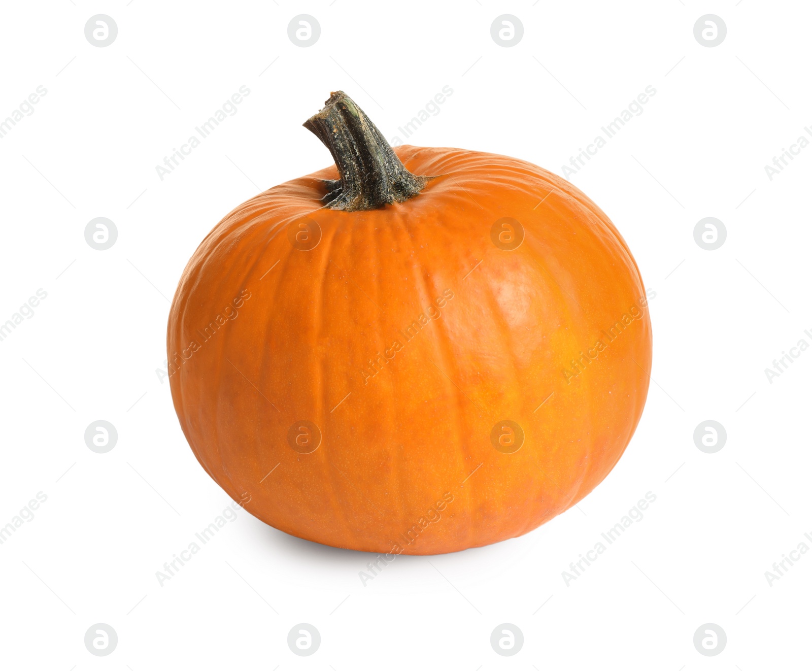 Photo of Fresh ripe pumpkin isolated on white. Organic plant