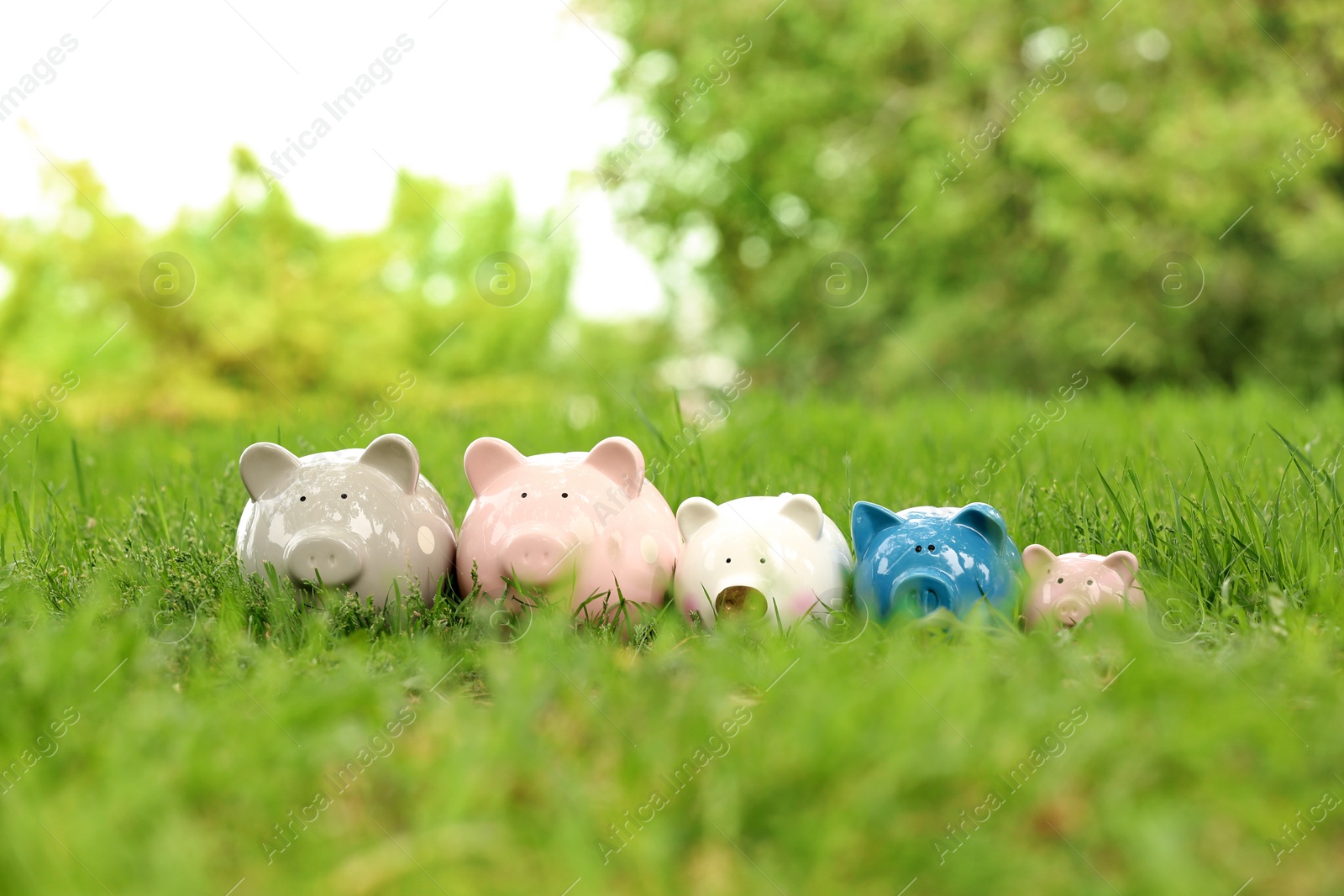 Photo of Cute piggy banks on green grass in park