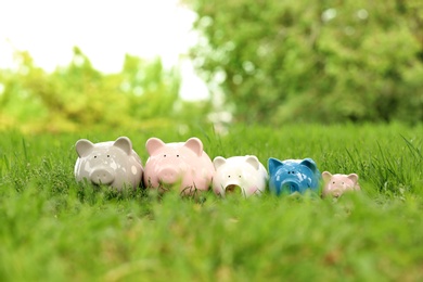 Photo of Cute piggy banks on green grass in park