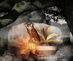 Image of Beautiful wise owl near books in fantasy world