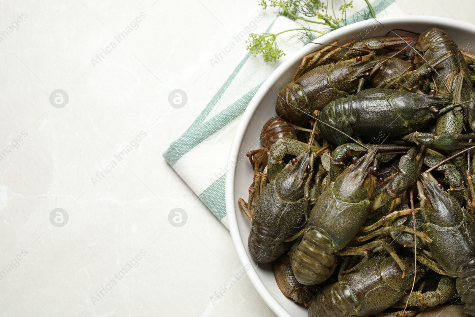 Photo of Fresh raw crayfishes and dill on marble table, flat lay. Space for text