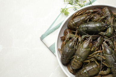 Photo of Fresh raw crayfishes and dill on marble table, flat lay. Space for text