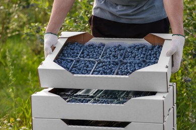 Man with boxes of fresh blueberries outdoors, closeup. Seasonal berries